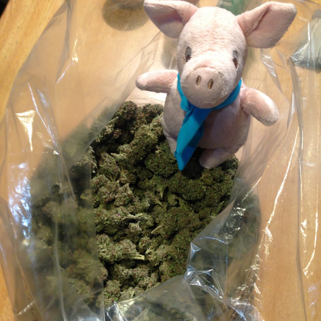 Trimmer cannabis 3