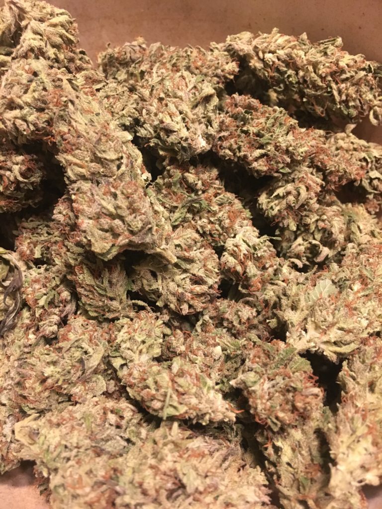 Contrabbando cannabis 5