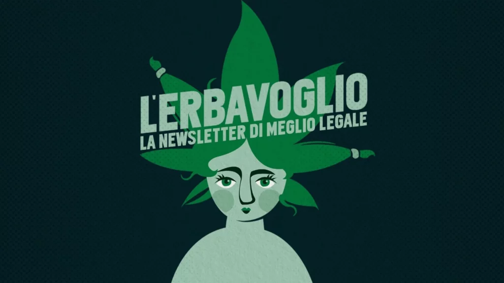 newsletter meglio legale