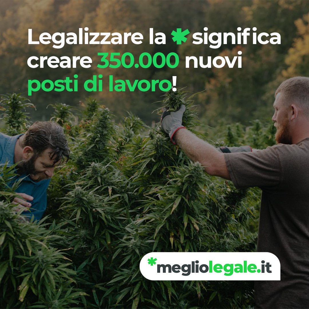 Legalizzazione: 350K posti di lavoro