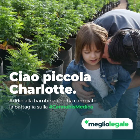 Cannais medica, grazie Charlotte
