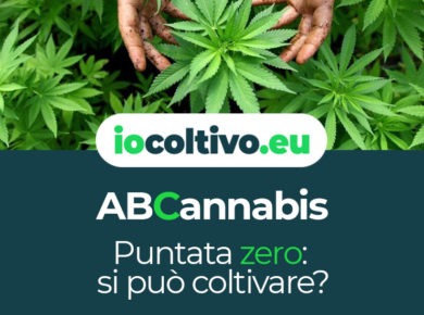 ABCannabis - Puntata zero