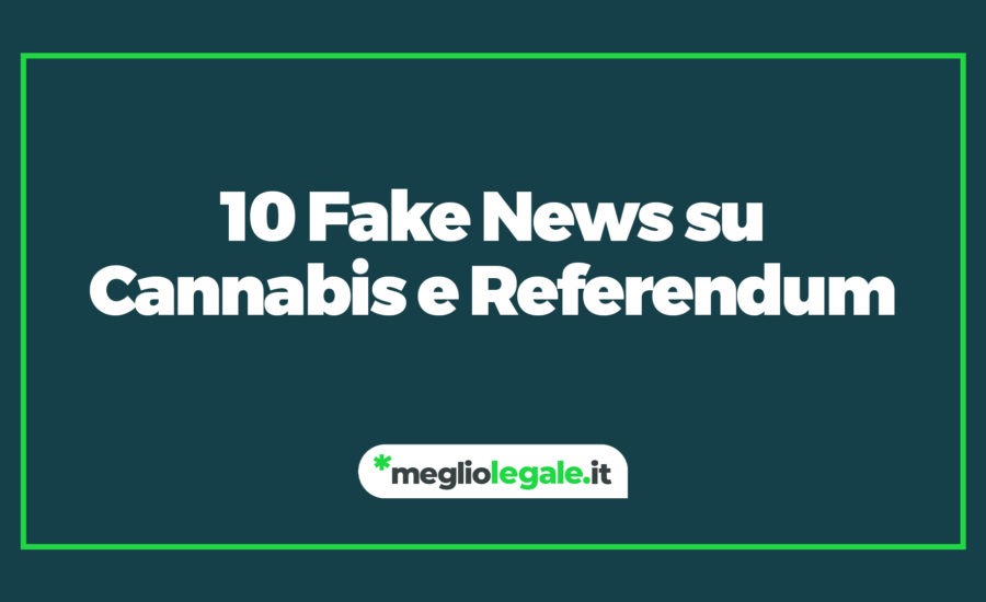 fake news cannabis