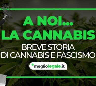 cannabis fascismo