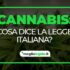 cannabis legge