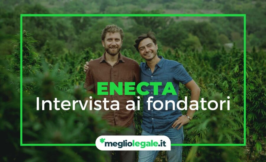 Enecta