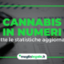 Statistiche Cannabis
