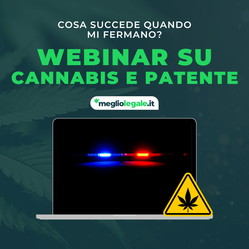 cannabis e patente webinar